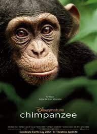 Chimpanzee (2012) ชิมแปนซี ผจญภัยในป่ากว้าง